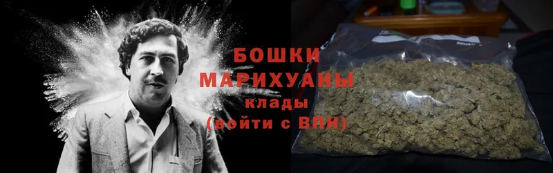 купить наркотик  MEGA ссылки  МАРИХУАНА SATIVA & INDICA  Разумное 